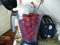 Capsuni cu miere. 3 Miere Săbăduș P1130506 Miere Săbăduș