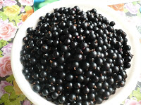 Coacazele si mierea de albine. 1 Miere Săbăduș P1130928 Miere Săbăduș