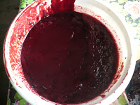 Coacazele si mierea de albine. 2 Miere Săbăduș P1130934 Miere Săbăduș