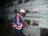 Plecarea de pe vechea locatie, de la Tei. 3 Miere Săbăduș P1140261 Miere Săbăduș