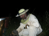 Plecarea de pe vechea locatie, de la Tei. 2 Miere Săbăduș P1140270 Miere Săbăduș