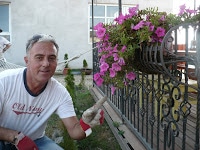 Un roi de albine ne ajuta sa ne cunoastem. 1 Miere Săbăduș P1140875 Miere Săbăduș