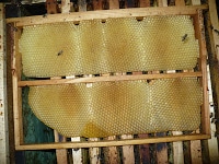 Ultima zi si cea mai lunga. 3 Miere Săbăduș P1150709 Miere Săbăduș