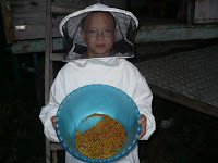 Polenul de toamna. 4 Miere Săbăduș P1160240 Miere Săbăduș