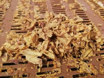 Ce trebuie sa stim despre Propolis? 2 Miere Săbăduș Propolis