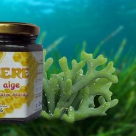 Sanatate Naturala - Mierea cu alge 1 Miere Săbăduș alge