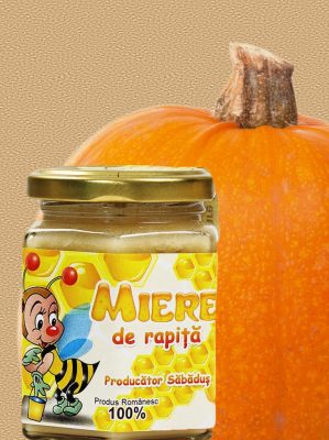 Doctorie de toamna: Mierea de albine si Dovleacul 1 Miere Săbăduș pumpkin isolated Miere Săbăduș