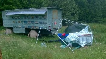 cort distrus de vant Miere Săbăduș