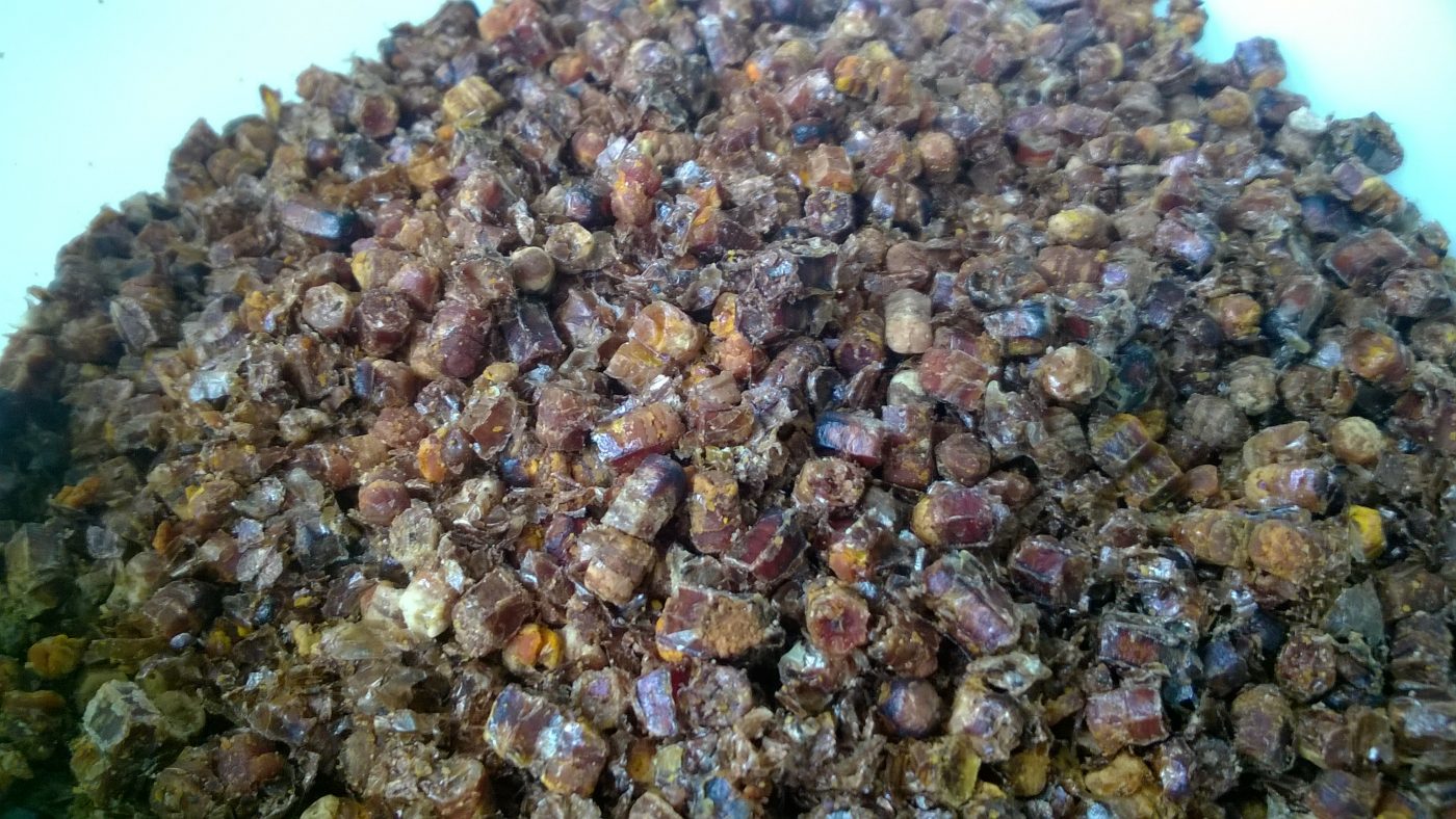 Pastura, sau un fals din miere si polen ? 4 Miere Săbăduș pastura in camasi