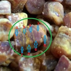 Pastura, sau un fals din miere si polen ? 6 Miere Săbăduș pastura in straturi
