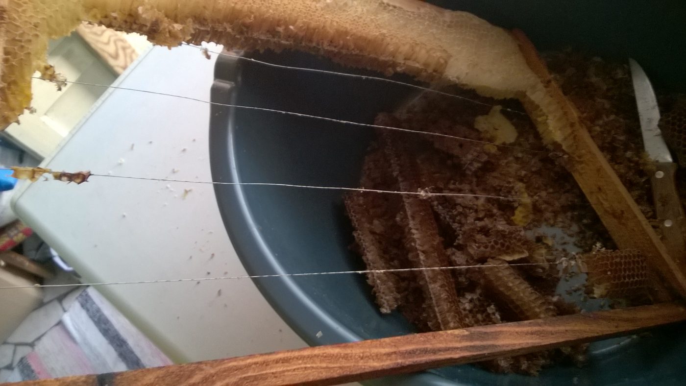 Pastura, sau un fals din miere si polen ? 3 Miere Săbăduș rama pastura