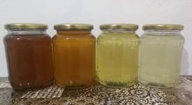 220231149 4196897430356028 2181524823312237209 n Miere Săbăduș