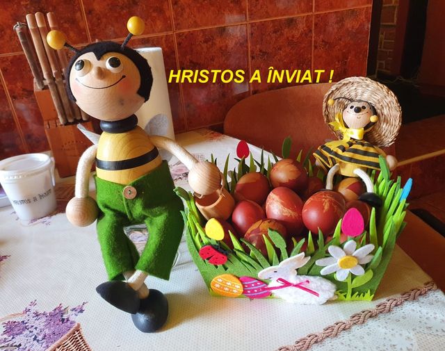 278491252 527790692127092 7642207661503657056 n Miere Săbăduș